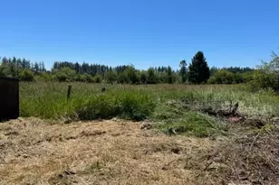 320 Pine Tree Rd, Toledo, WA 98591 - Photo 15