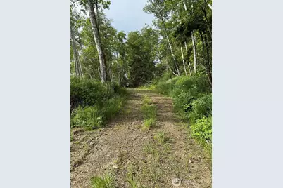 0 Altoona Pillar Rock Road, Rosburg, WA 98643 - Photo 7