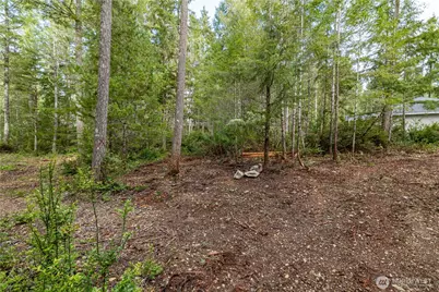 230 E Blackberry Lane, Union, WA 98592 - Photo 5