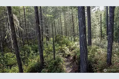 230 E Blackberry Lane, Union, WA 98592 - Photo 23