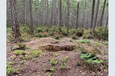 230 E Blackberry Lane, Union, WA 98592 - Photo 7