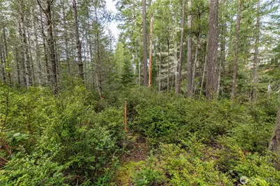 230 E Blackberry Lane, Union, WA 98592 - Photo 7