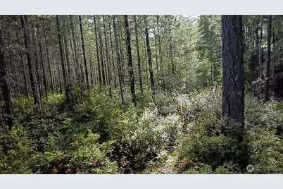 230 E Blackberry Lane, Union, WA 98592 - Photo 25