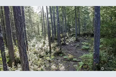 230 E Blackberry Lane, Union, WA 98592 - Photo 19