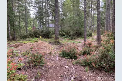 230 E Blackberry Lane, Union, WA 98592 - Photo 9