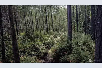 230 E Blackberry Lane, Union, WA 98592 - Photo 27