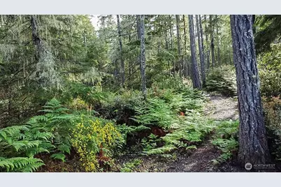 230 E Blackberry Lane, Union, WA 98592 - Photo 15