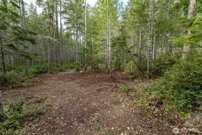 230 E Blackberry Lane, Union, WA 98592 - Photo 3