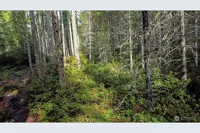 230 E Blackberry Lane, Union, WA 98592 - Photo 21