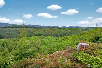 4 Parpala Road #4, Naselle, WA 98638 - Photo 15