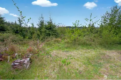 4 Parpala Road #4, Naselle, WA 98638 - Photo 13