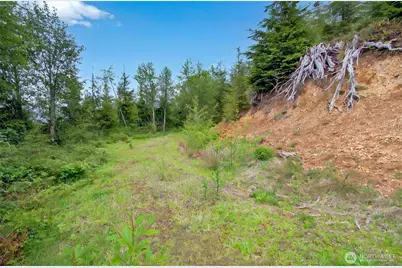 4 Parpala Road #4, Naselle, WA 98638 - Photo 11