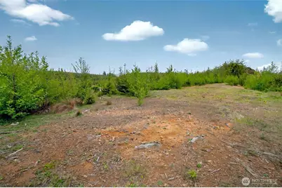 4 Parpala Road #4, Naselle, WA 98638 - Photo 7