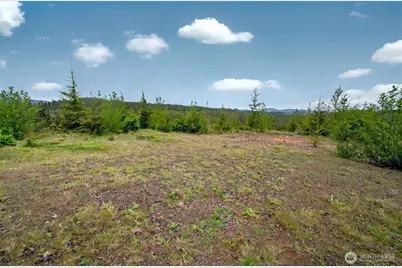 4 Parpala Road #4, Naselle, WA 98638 - Photo 9