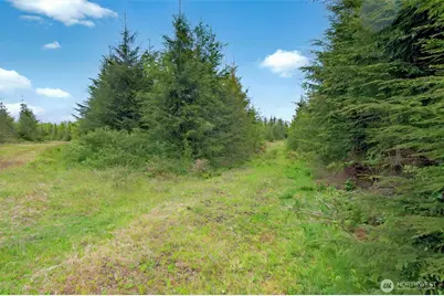 5 Parpala Road #5, Naselle, WA 98638 - Photo 13