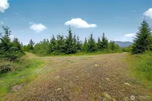 5 Parpala Rd, Naselle, WA 98638 - Photo 1