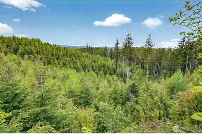 5 Parpala Road #5, Naselle, WA 98638 - Photo 17