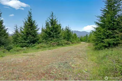 5 Parpala Road #5, Naselle, WA 98638 - Photo 3