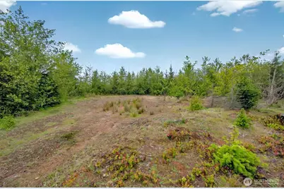 5 Parpala Road #5, Naselle, WA 98638 - Photo 5