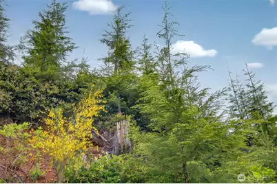 1 Parpala Road #1, Naselle, WA 98638 - Photo 7