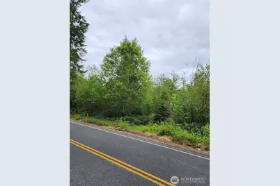 0 Henriot Road, Toledo, WA 98591 - Photo 3