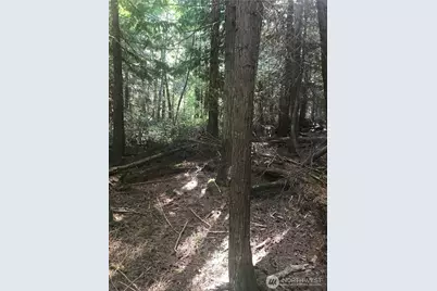 0 Channel Road, Lopez Island, WA 98261 - Photo 3