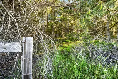 0 Channel Road, Lopez Island, WA 98261 - Photo 15