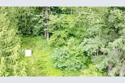 99 A Port Susan Drive, Hat Island, WA 98206 - Photo 1