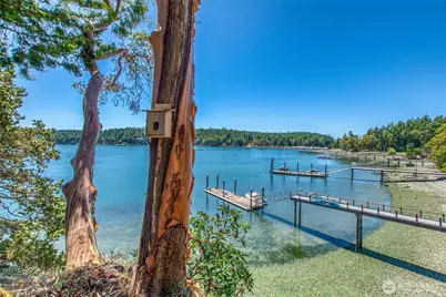 6998 Deer Harbor Road, Orcas Island, WA 98245 - Photo 5