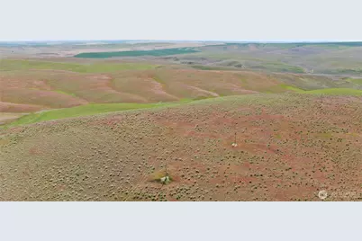 0 Wooden Road, Prescott, WA 99438 - Photo 15