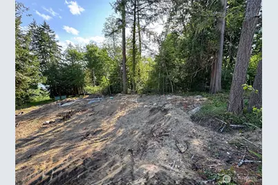 0 E Panorama #Lot15, Shelton, WA 98584 - Photo 5