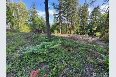 0 E Panorama #Lot15, Shelton, WA 98584 - Photo 9