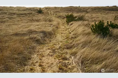 27208 J Lane, Ocean Park, WA 98640 - Photo 39