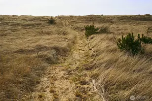 27208 J Ln, Ocean Park, WA 98640 - Photo 39