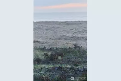 27208 J Lane, Ocean Park, WA 98640 - Photo 35