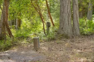 375 De Haro Ln W, Friday Harbor, WA 98250 - Photo 31