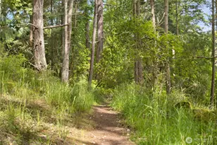 375 De Haro Ln W, Friday Harbor, WA 98250 - Photo 29