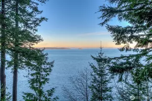 673 Raccoon Point Rd, Orcas Island, WA 98245 - Photo 39