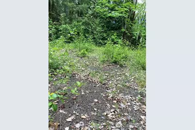 246 N Lakeshore Place, Hoodsport, WA 98548 - Photo 5