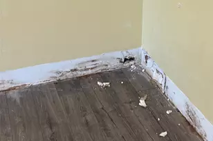 118 Timberline Dr, Castle Rock, WA 98611 - Photo 27