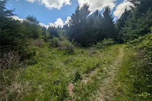 235 Delta Wing Dr, Forks, WA 98331 - Photo 23