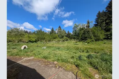 235 Delta Wing Drive, Forks, WA 98331 - Photo 11