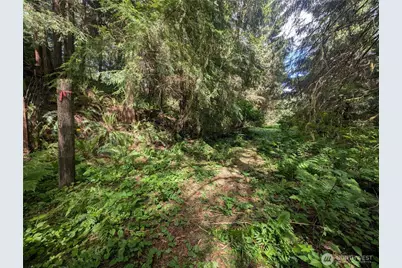 235 Delta Wing Drive, Forks, WA 98331 - Photo 33