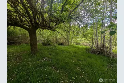 235 Delta Wing Drive, Forks, WA 98331 - Photo 37