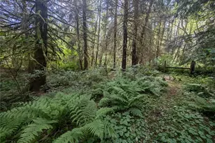 235 Delta Wing Dr, Forks, WA 98331 - Photo 31