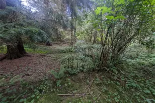 235 Delta Wing Dr, Forks, WA 98331 - Photo 29