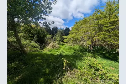 235 Delta Wing Drive, Forks, WA 98331 - Photo 17