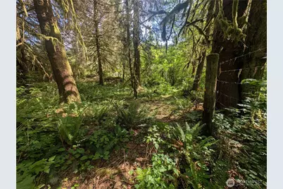 235 Delta Wing Drive, Forks, WA 98331 - Photo 35