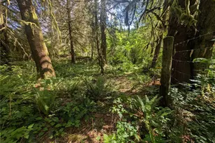 235 Delta Wing Dr, Forks, WA 98331 - Photo 35