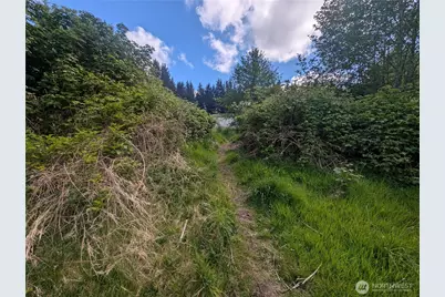 235 Delta Wing Drive, Forks, WA 98331 - Photo 21